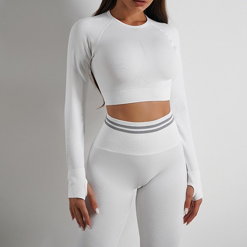 Alvara Seamless Activewear